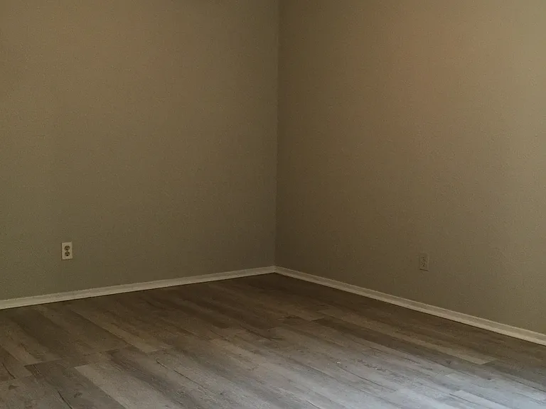 7314 Salt Springs Dr #B — Photo 8