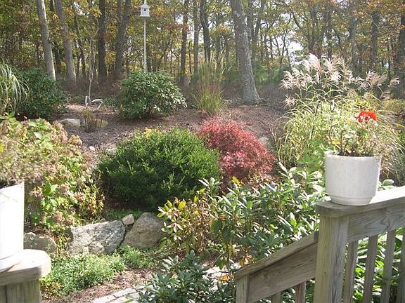 Beautiful garden and patio
