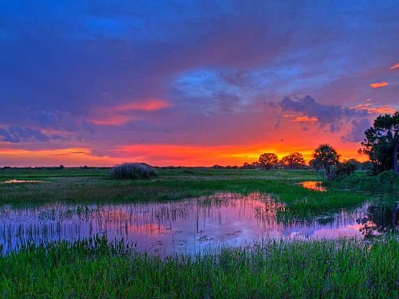 Sunshine state sunsets