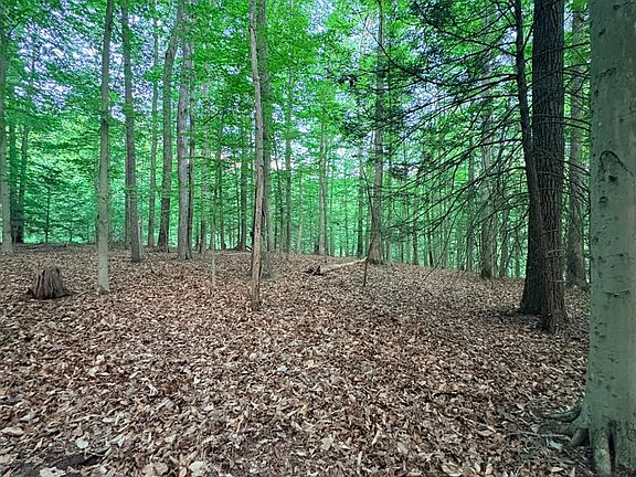 3rd image of Ledgeview Dr
