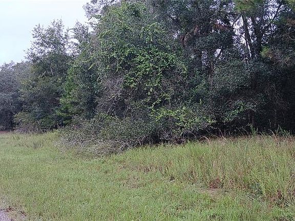 4th image of 1623 E IVYDALE DRIVE LOT 25