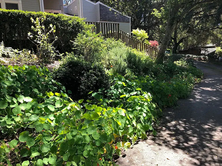 Hambey Ln — Photo 28