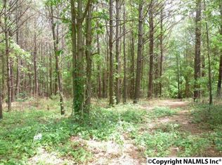 11242 Al Highway 273, Cedar Bluff, AL 35959