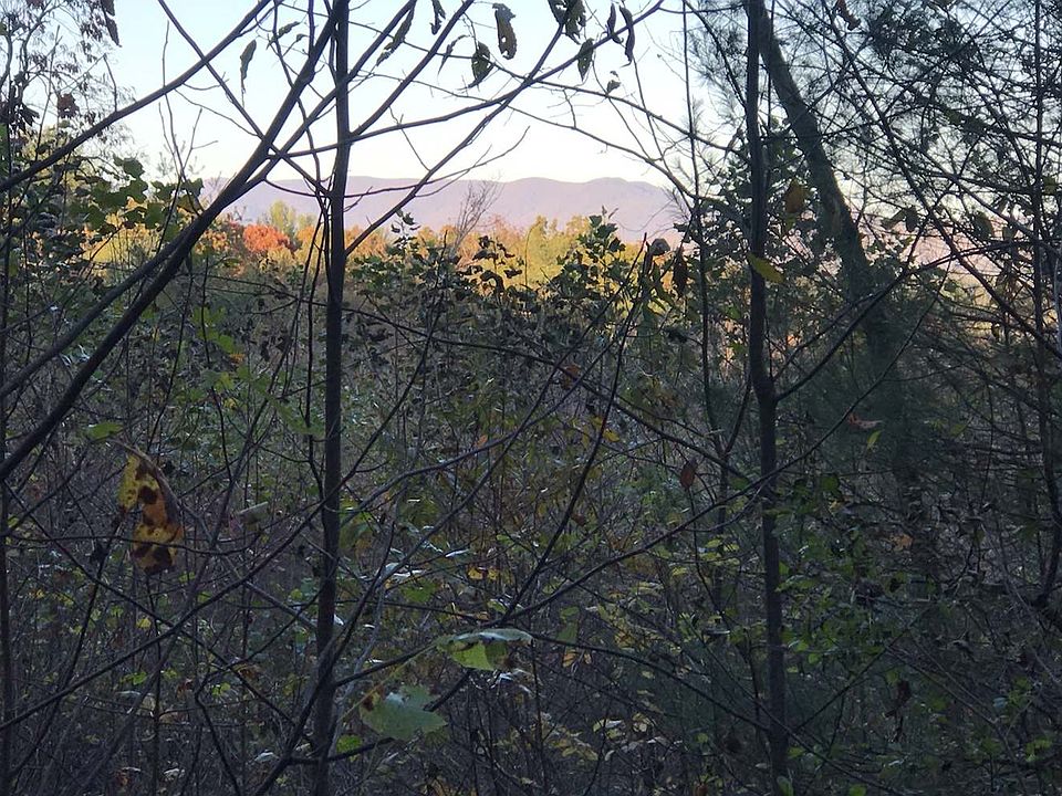 2nd image of Pine Mountain Dr