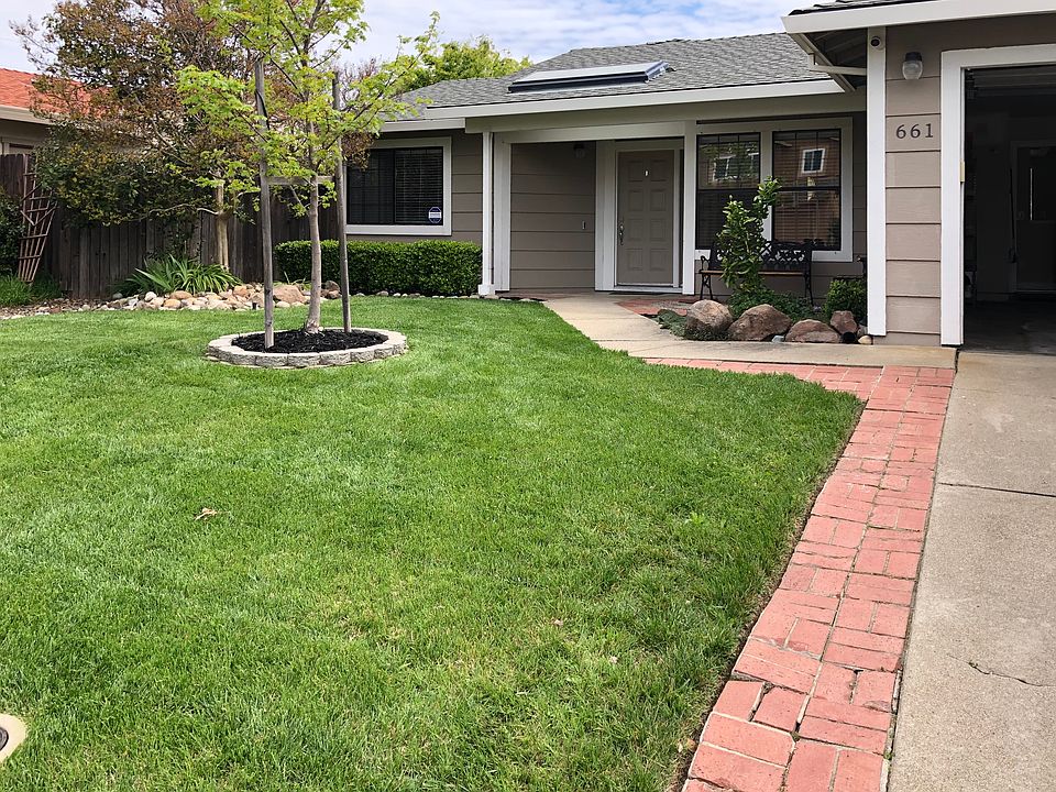 Front Yard
