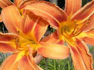 1708 Walters Mill Rd, Providence, NC 27315