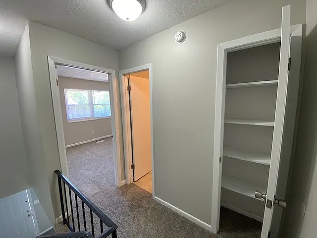 912 Naomi Dr — Photo 7