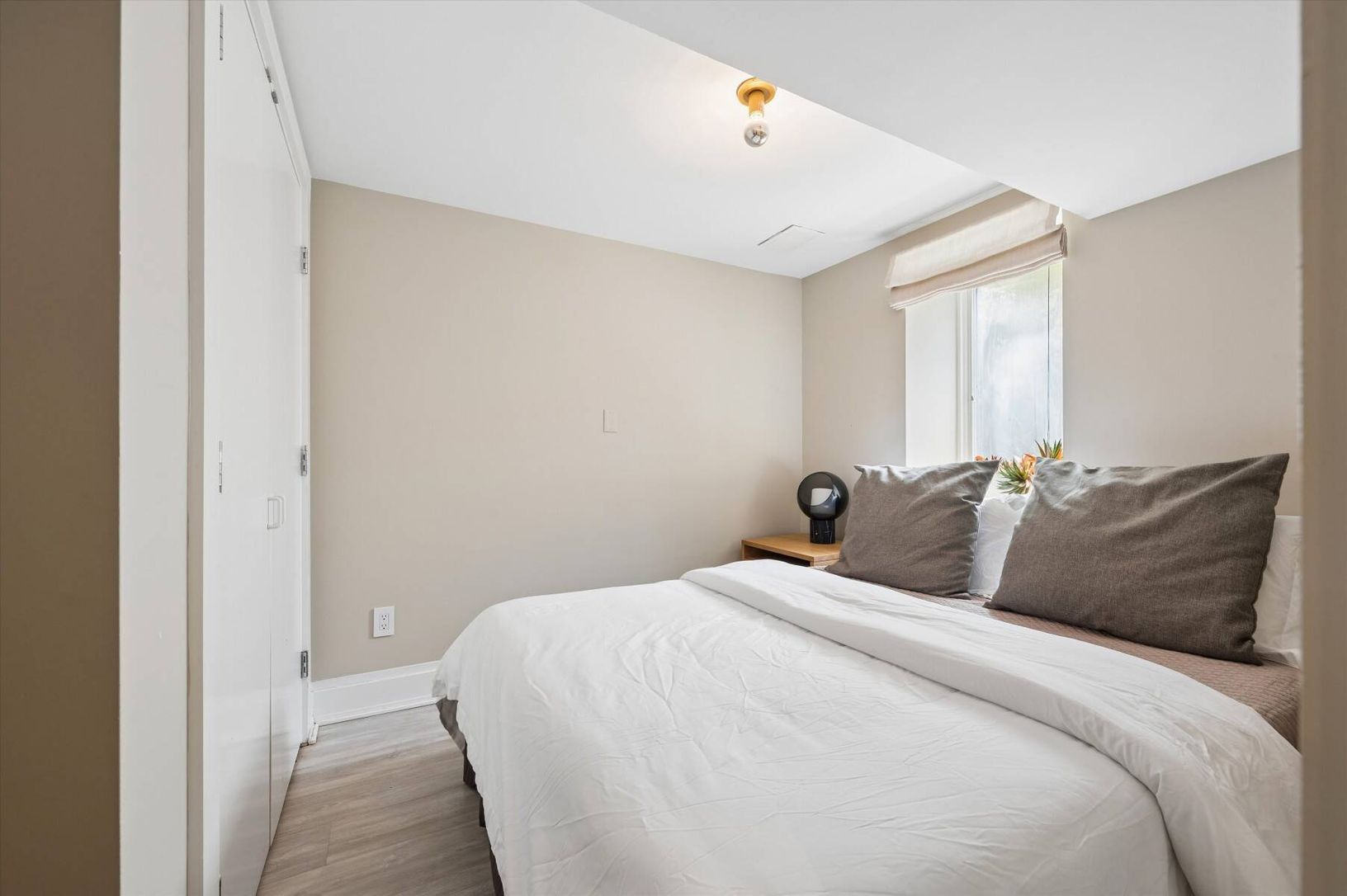  Additional Lower-Level Bedroom