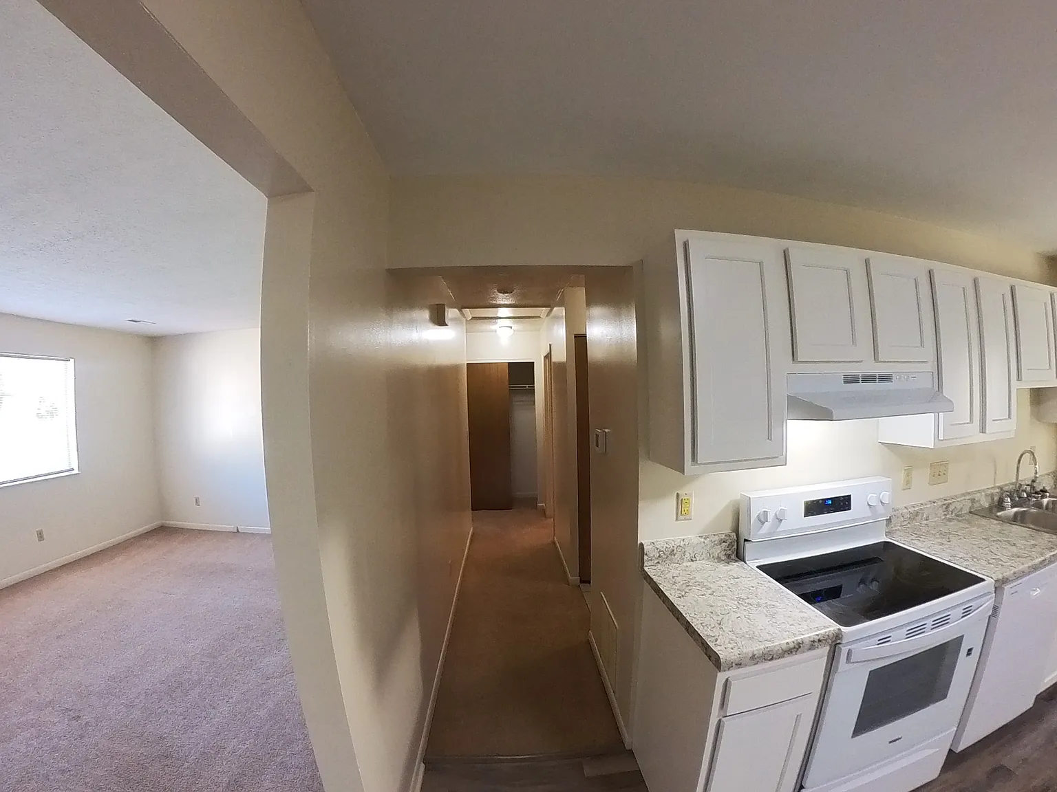 2 bed, 1000 sqft, $1,200 — Photo 4