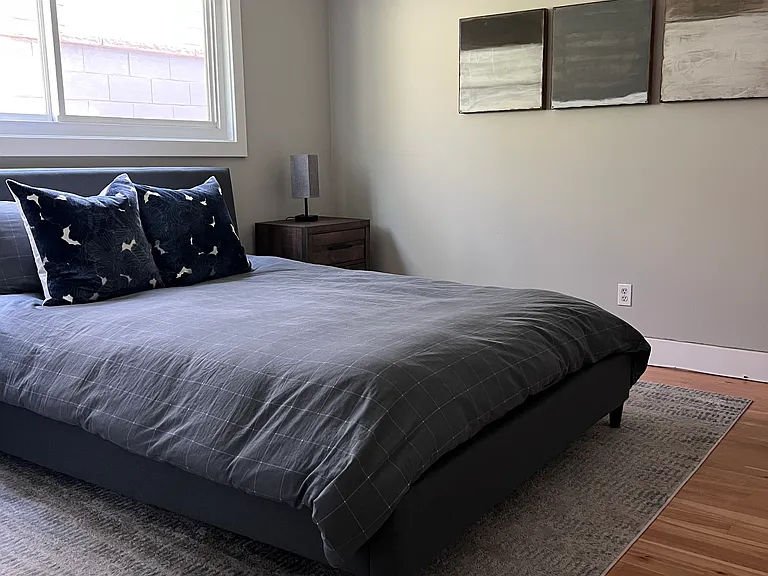 Downstairs bedroom
