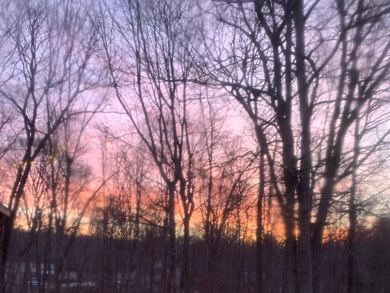 Morning view from private deck