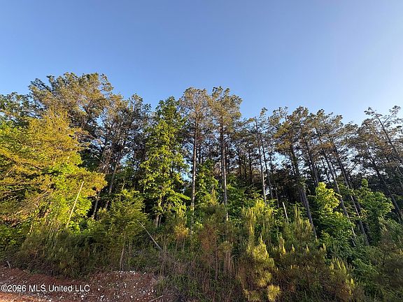 3rd image of Stewart Weir Rd