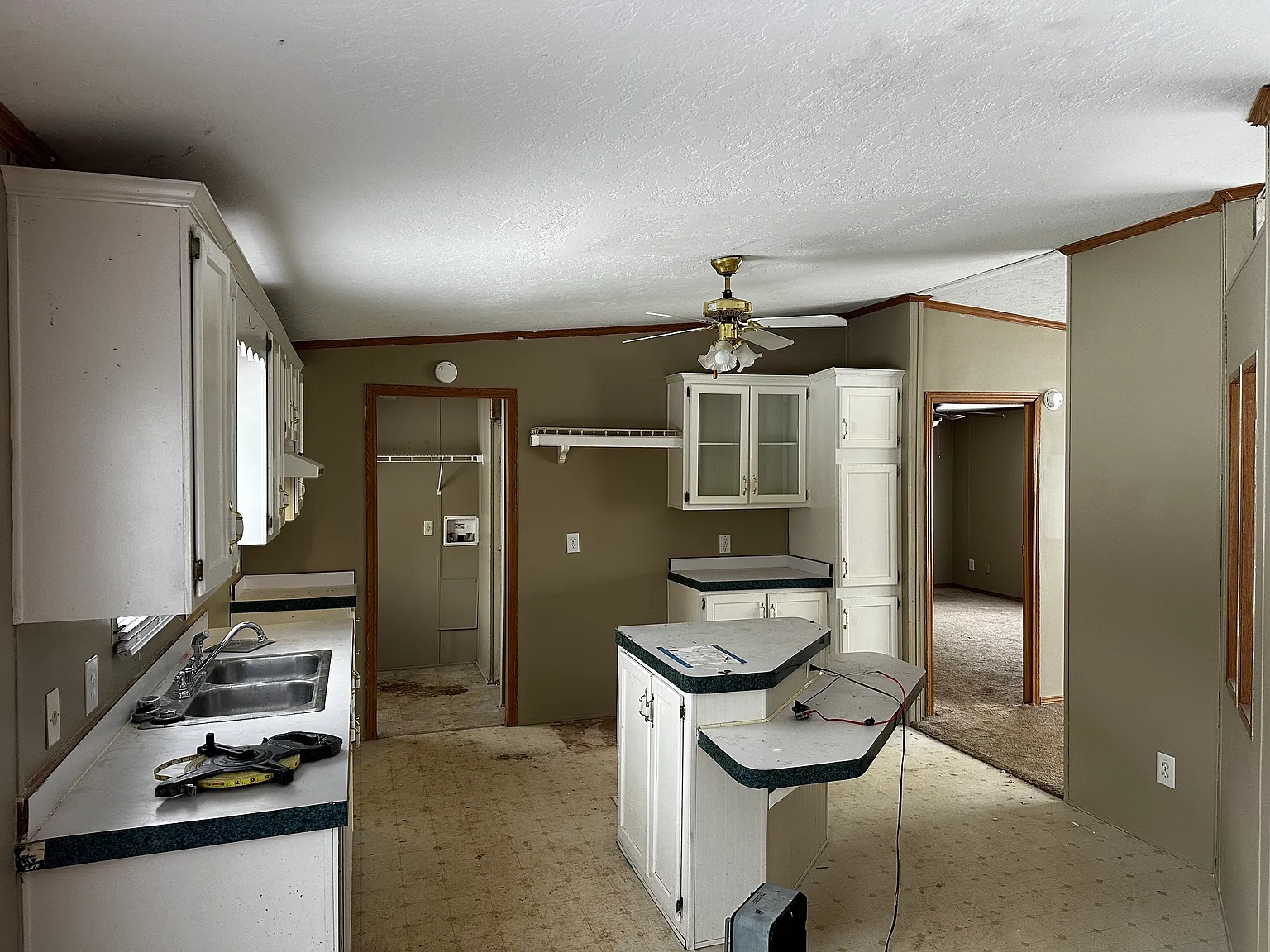19 Shellie St photo 1