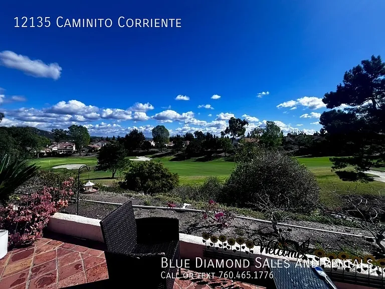12135 Caminito Corriente — Photo 41