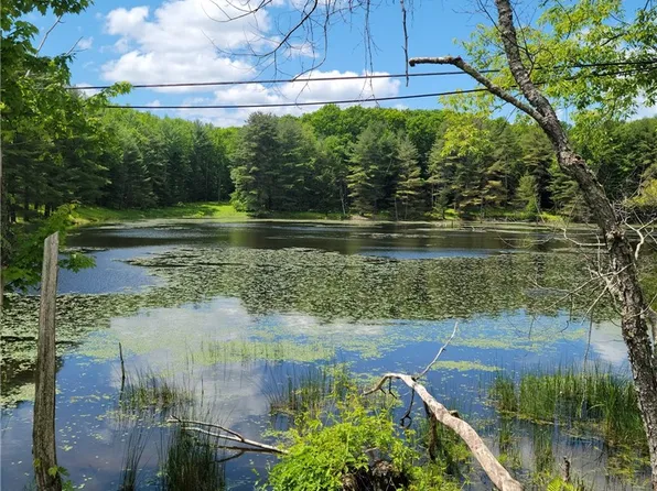 LOT 5 County Route 13 #43, New Berlin, NY 13411