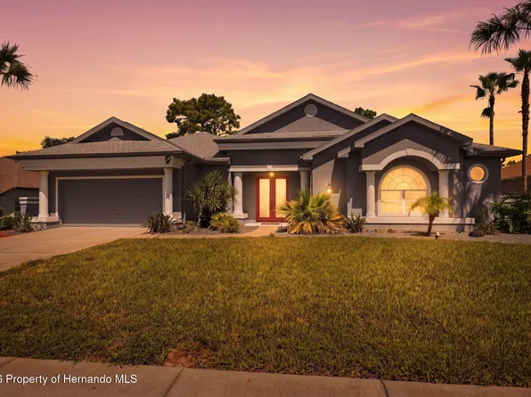 5333 Leather Saddle Ln, Spring Hill, FL 34609