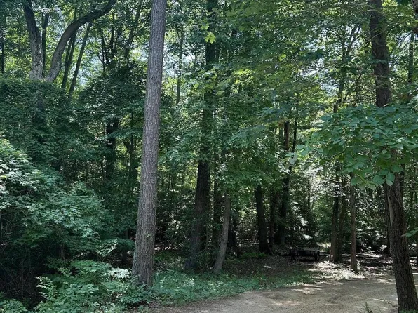 Flat Iron Rd, Valley Lee, MD 20692