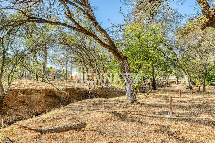 7437 Antelope Rd — Photo 30