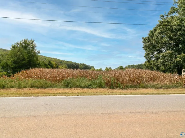 Cherry Tree Rd, Gurley, AL 35748