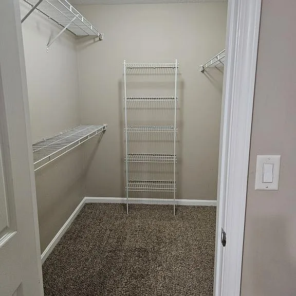 305 Dalton Ct — Photo 15