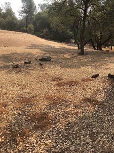 16801 Indian Hill Cir, Grass Valley, CA, 95949