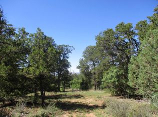LOT-92B N El Morro Way, Pinehill, NM 87357