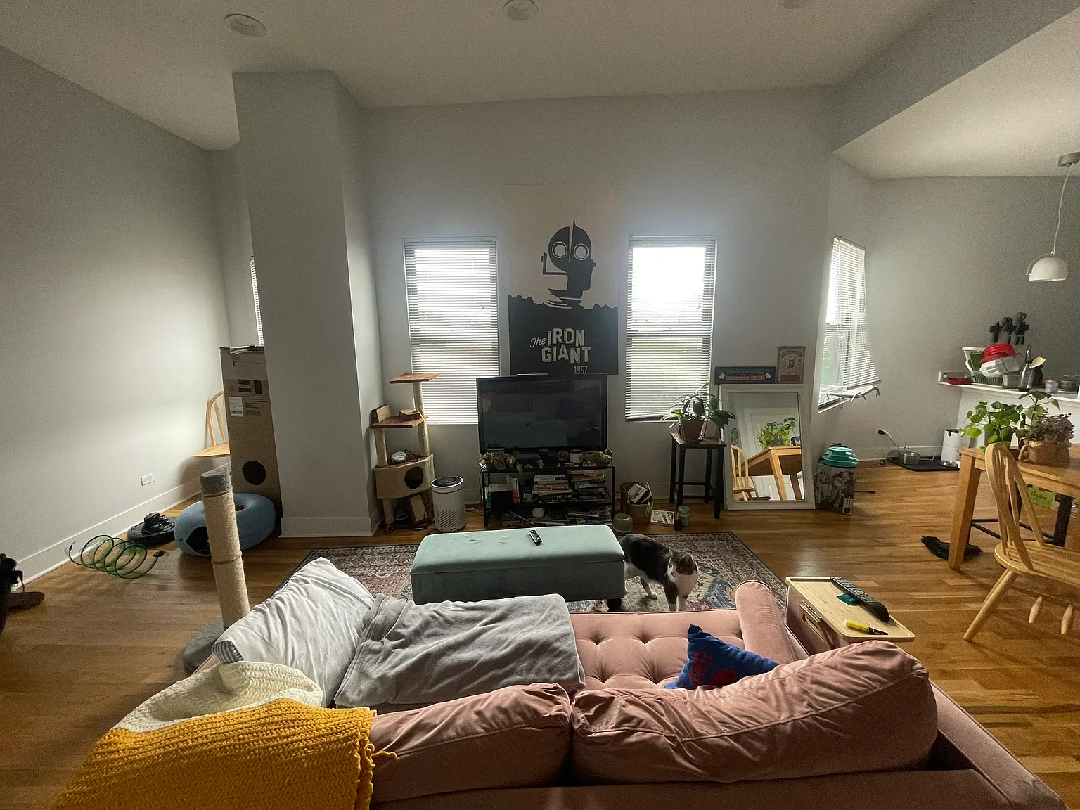 2 bed, 918 sqft, $2,100 — Photo 3