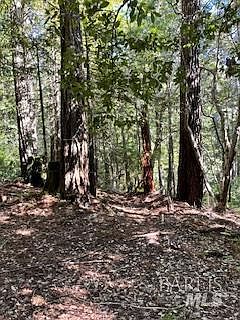 2nd image of 388 Moonraker Road