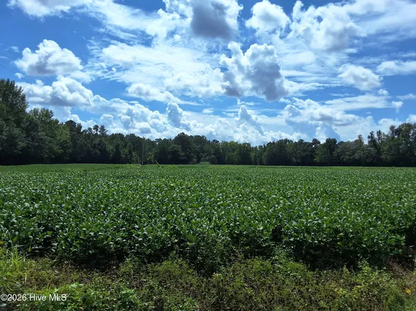 0 Near 243 Mcmillan Road, Whiteville, NC 28472