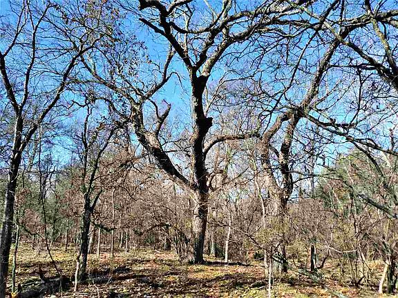 4th image of 6915 County Road 216