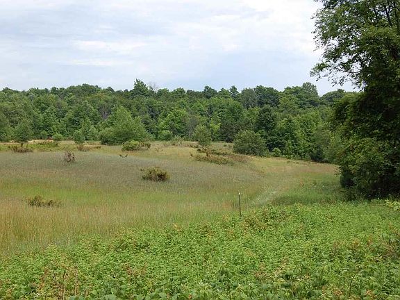 5th image of S Hlavka Hill Dr
