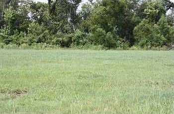 1st image of 348 S Pass Dr