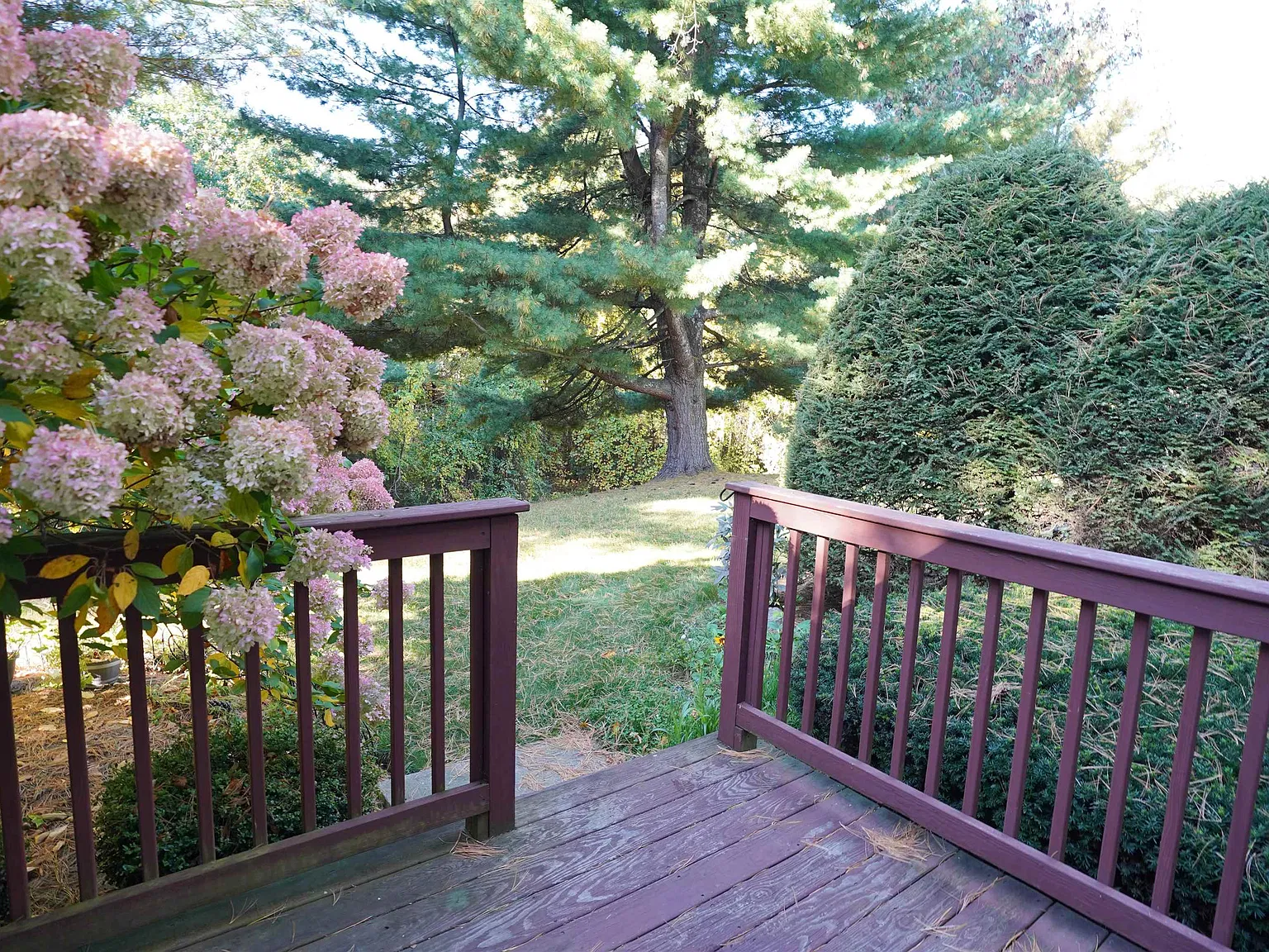 2 bed, 1.5 bath, 1456 sqft, $2,700 — Photo 4