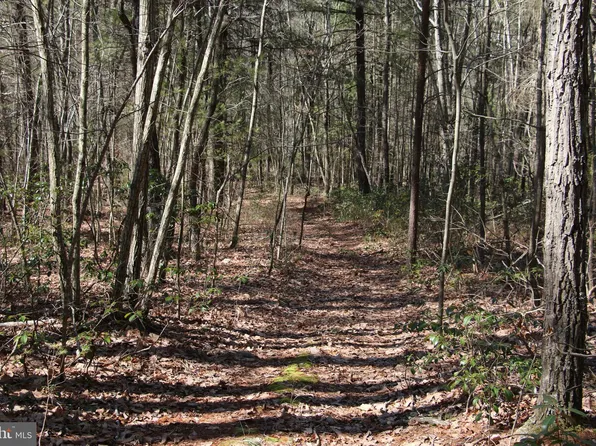 Dry Run Rd, Luray, VA 22835