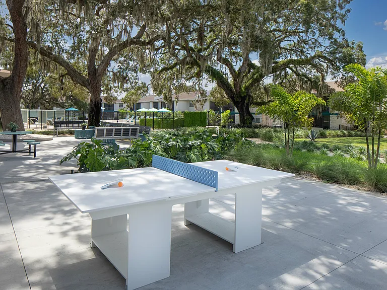 The Linx Apartments — Photo 25