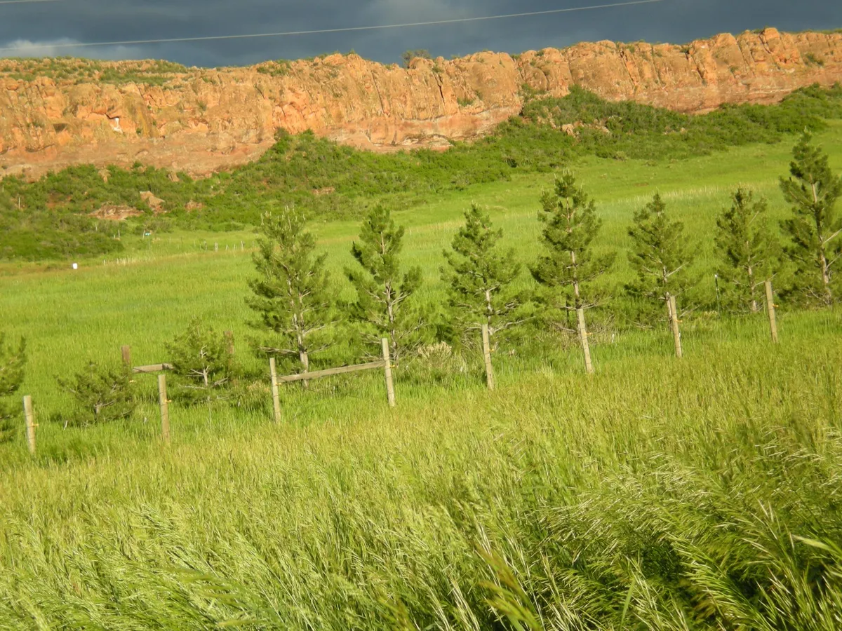 Pasture - W County Road 50