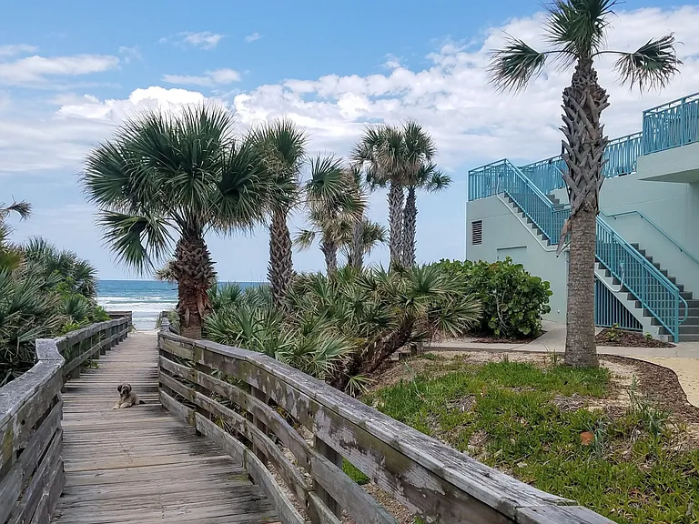 Boardwalk access to beach next to condo