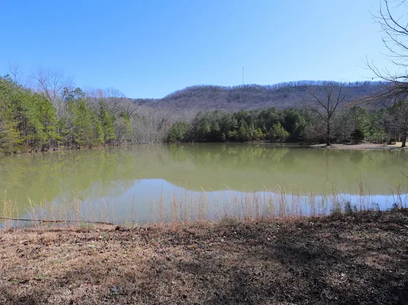 0 Butler Dairy Rd, Summerville, GA 30747
