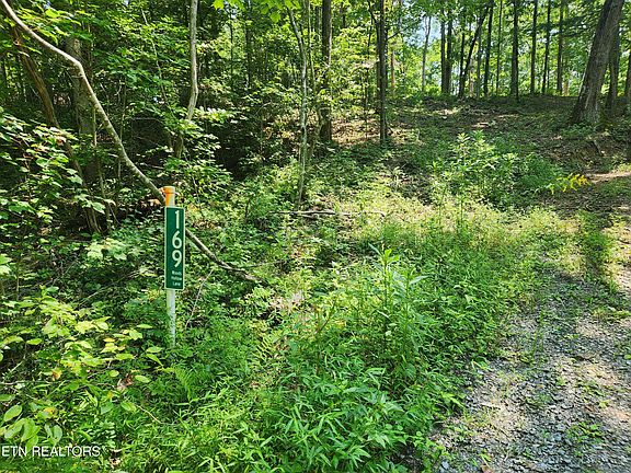 5th image of 169 Woods Hollow Ln