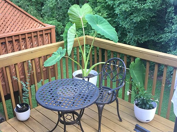 Private balcony deck with wooded view