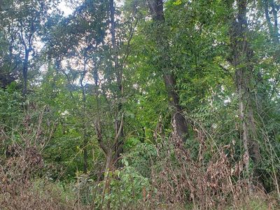 354 Riverview Shores Dr, Front Royal, VA, 22630