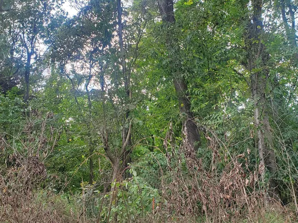 354 Riverview Shores Dr, Front Royal, VA 22630