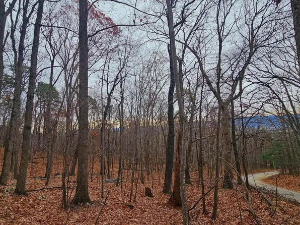 Forest Drive Ext, Luray, VA 22835