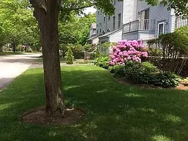 Beautiful front - 1 Willow Glen Cir