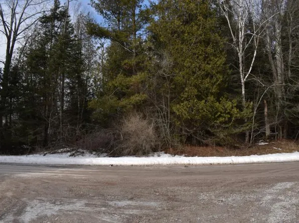 Nhn Ridge Rd, Black River, MI 48721