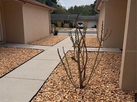 1125 E Rohe St, Tarpon Springs, FL