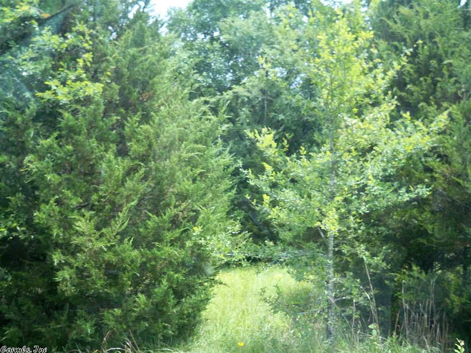 2nd image of Harvey Jobe Rd