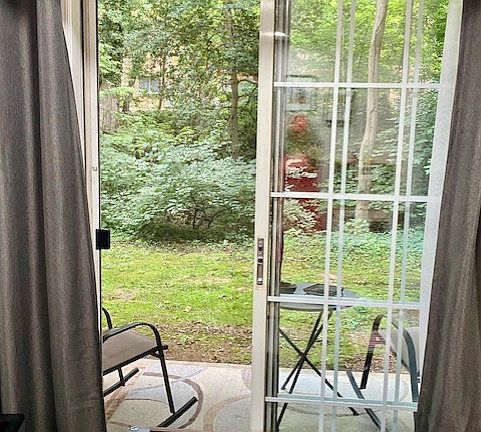 Patio to trees common are