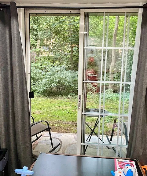 Patio to trees