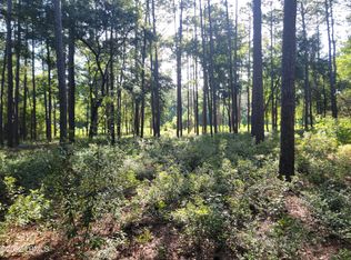 19 Egret St, Hilton Head Island, SC 29928